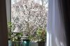 DSC_5646.thumb.JPG.d205ad698f8a81b2bc431cdb672a07b6.JPG
