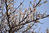 DSC_5653.thumb.JPG.6a0be916537fc29c0bdea9146d8d79cd.JPG