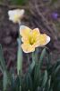 DSC_5663.thumb.JPG.c422a40cfd82f624afabba82ef9fe6ef.JPG