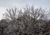 DSC_5831.thumb.JPG.e813e043235140c1c812e27cb89ceeef.JPG