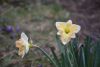 DSC_5840.thumb.JPG.86f229452c81e657d5167508f72f6439.JPG