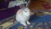 Gn4ABghjx-A.thumb.jpg.ad195b22a55a235d0a7932f3cf80cf41.jpg