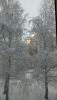 IMG-20250315-WA0007.thumb.jpg.5bed4fefff66aeccb1208aec0976f92e.jpg