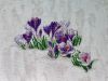 IMG_1979.jpeg