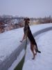 IMG_20241227_171332.thumb.jpg.f988fd0996a076b0cdea362a7c240b11.jpg