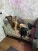 IMG_20250122_111517.thumb.jpg.a95e61e97a07ad4629bd72ef1483991b.jpg