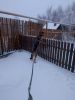 IMG_20250204_174352.thumb.jpg.3ef0c989715e8494df54de6fa16bb595.jpg