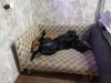 IMG_20250207_155725.thumb.jpg.18ab511412f1bfae50cb57f503f23884.jpg