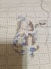 IMG_20250218_181945.thumb.jpg.4893b047d1fc784cc381a5b3797e1637.jpg