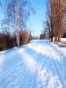 IMG_20250225_161147.thumb.jpg.65d82cd4f9905f8adf7be01c553dc75f.jpg