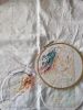 IMG_20250225_170906.thumb.jpg.59ccbd4547100a4cc954adf04b23db13.jpg