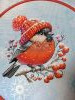 IMG_20250304_011331.thumb.jpg.18500a1a2614288f0613b3860ab4c64a.jpg?1741026359358