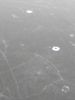 IMG_20250305_163403.thumb.jpg.26f705bfb04e716f9de44ee401582b1d.jpg