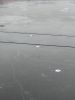 IMG_20250305_163411.thumb.jpg.61c068dec6cd5476dc06c08576214976.jpg
