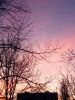IMG_20250307_181636.thumb.jpg.13cc5e1080cf044458bd55bb70cf5127.jpg
