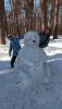 IMG_20250308_144057.thumb.jpg.1e68431a4bb00cb79f4d4e82a6063717.jpg