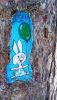IMG_20250308_145902.jpg