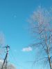IMG_20250308_153627.thumb.jpg.08371c80cb6d8ca94a8dceeb0b894590.jpg