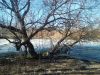 IMG_20250308_153940.thumb.jpg.d5c6eb7df1ce45dcdd52da9cd180d253.jpg