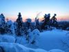 IMG_20250308_192012.thumb.jpg.95eedbd4407d02835f5f39a9cb0bb602.jpg