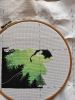 IMG_20250310_142516.thumb.jpg.f7c928754dbe4dd5bcc3aaa202fbec1e.jpg