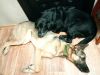 IMG_20250314_212638.thumb.jpg.a0b50018372620fad2a37b7434c572e2.jpg