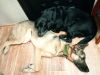 IMG_20250314_212640.thumb.jpg.795dbbaf2092325cdb0718503ef99a4a.jpg