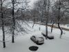 IMG_20250315_131438.thumb.jpg.062cc3f14cf4f62d4a7817c21b852eb0.jpg