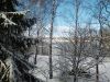 IMG_20250315_143742.thumb.jpg.166a161c823eeeb4a407466a88eb2b67.jpg
