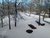 IMG_20250315_143751.thumb.jpg.9de7e0b9a9b89dbea49ed7b52be00914.jpg