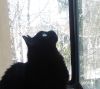 IMG_20250315_152317-2.thumb.jpg.1aa264d8bbe0f48b1820e7ba450de078.jpg
