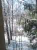 IMG_20250315_152341.thumb.jpg.c0e64a15ccfe2273823073051332d5ce.jpg