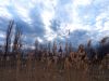 IMG_20250315_171756.thumb.jpg.f7d0f8353b48a8cedbf50fedd835938d.jpg