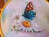 IMG_20250317_180050.thumb.jpg.28a9b8e6e513100aff9f24171853d1e7.jpg?1742233946830