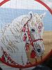 IMG_20250317_234758.thumb.jpg.34136e8e015c3758e49af99aca8f6f07.jpg