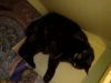 IMG_20250323_162909.thumb.jpg.708c7d68470b11d93f8be2484a92996e.jpg