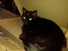 IMG_20250323_165419.thumb.jpg.2a17c60c07a065698a7d0d7b751a8140.jpg