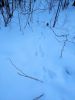 IMG_20250323_181408.thumb.jpg.002821cc9501ac964b867d437ace6287.jpg