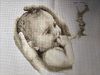 IMG_20250324_232153.thumb.jpg.2217ed8b2c82dfdcf7e9da59000cdc49.jpg