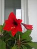 IMG_20250325_072633.thumb.jpg.e5d7778daa221667c2755e3db87a7405.jpg