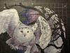 IMG_3364.jpeg