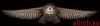 IMG_3397.thumb.jpeg.89703ec998599239dbc263e107b94208.jpeg