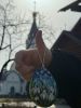 IMG_3487.jpeg