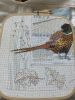 IMG_3510.jpeg