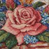 IMG_3539.jpeg