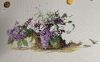IMG_8550.jpeg