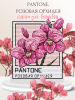 Pantone. розовая орхидея.png