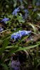 1069916981_1000095594(1).thumb.jpg.c2de0710d76c28de17bafe88d46b964a.jpg