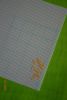 2005872549_2.thumb.JPG.d25dc689ccea64d30023b1c0c8a86c21.JPG