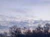 20250220_074541.thumb.jpg.62737f63937a5e14d64def96fdb23c19.jpg
